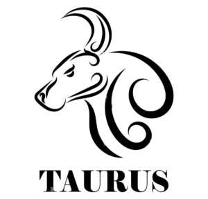 Taurus-press_PG-Technology-23-Ltd